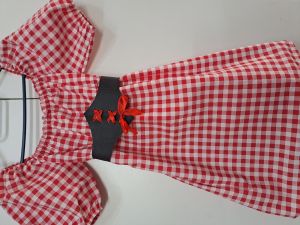 Kids Costumes to Hire - Red & White Gingham Dress - 7 Years